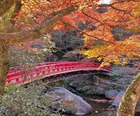 写真：紅葉と赤い橋