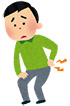 イラスト：腰部多裂筋